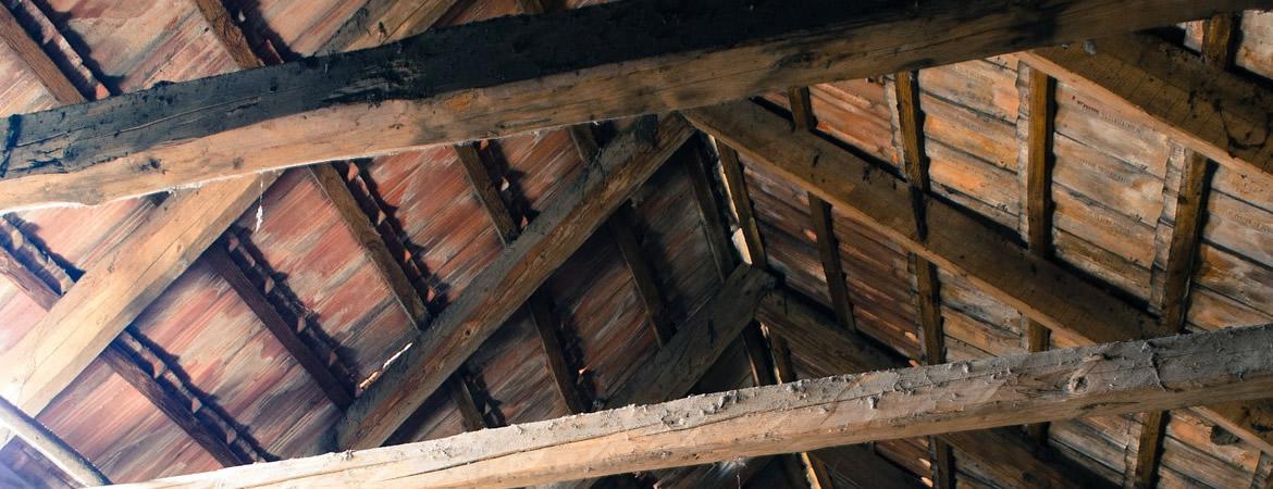 Traitement insectes xylophages